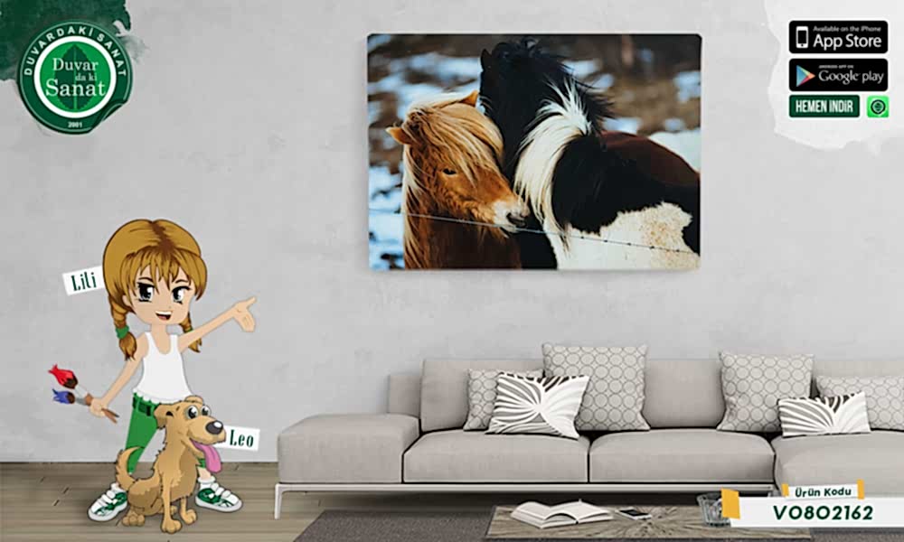 Duvardaki Sanat Midilli Kanvas Tablo